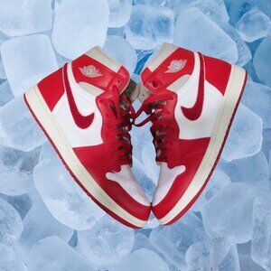 Nike Air Jordan 1 Retro High OG Newstalgia Red DJ4891-06 Wm Sz 12 Men 10.5
